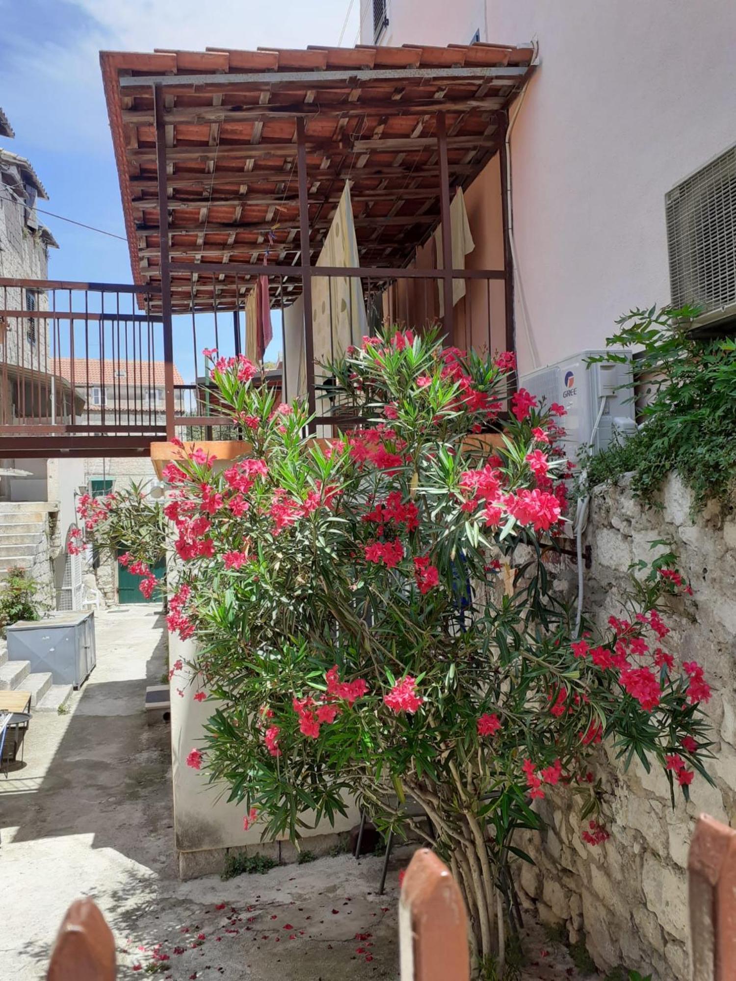 Oleander Apartments Split Exterior foto